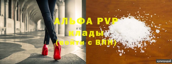 ECSTASY Алзамай