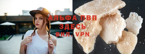 гашик Майский