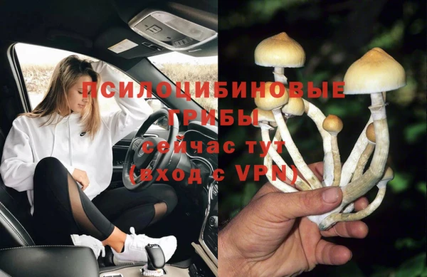 гашик Абинск