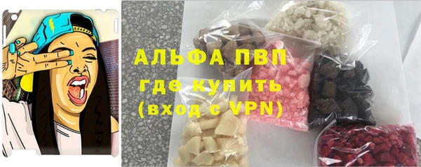 ECSTASY Алзамай