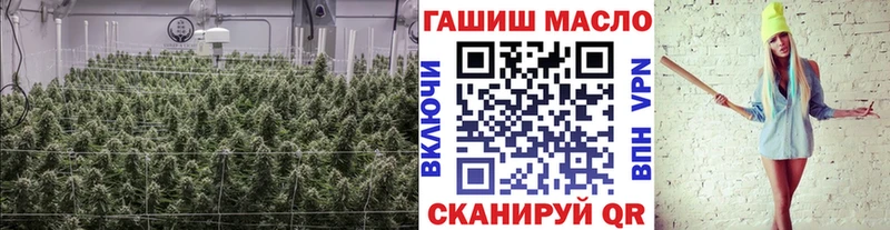 площадка наркотические препараты  Шахты  ТГК Wax 
