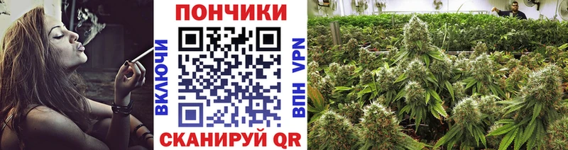 Шишки марихуана Bruce Banner  цены   Шахты 
